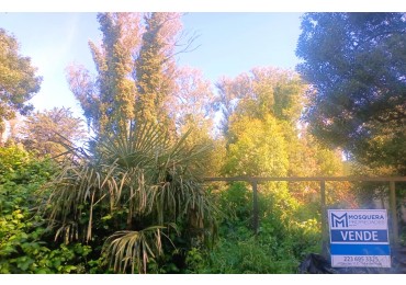 VENTA LOTES EN BLOCK BOSQUE PERALTA RAMOS