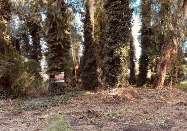 VENTA LOTE BOSQUE PERALTA RAMOS