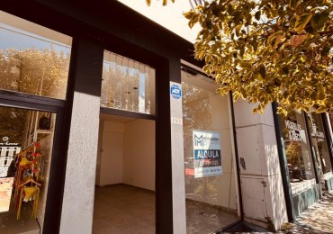 LOCAL COMERCIAL ALQUILER ZONA GUEMES